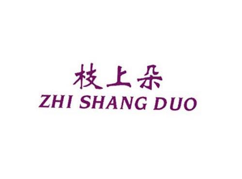 枝上朵