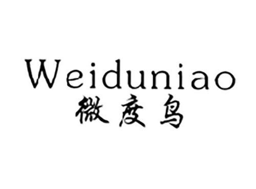 微度鸟