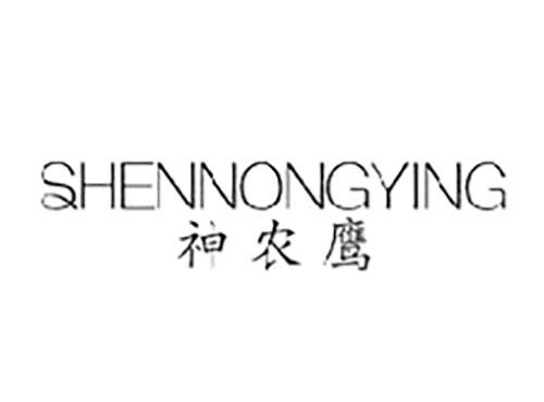 神农鹰
