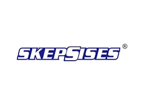 SKEPSISES