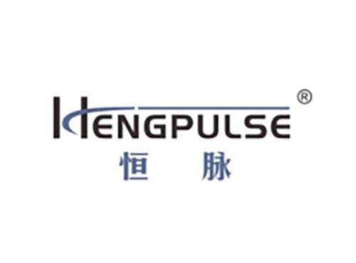 恒脉 HENGPULSE