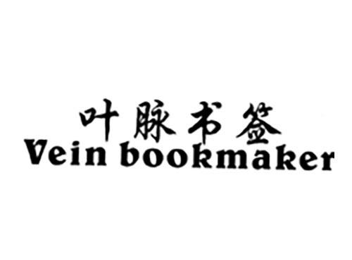 叶脉书签