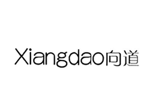向道