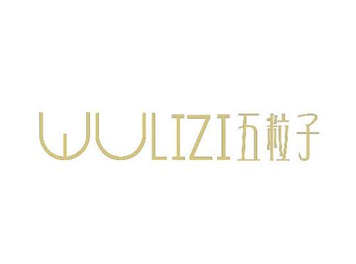 五粒子