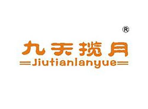 九天揽月