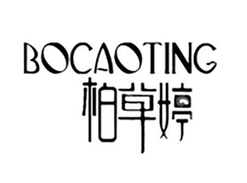 柏草婷