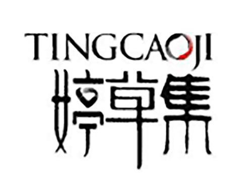 婷草集
