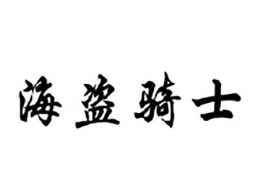 海盗骑士