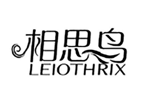 相思鸟