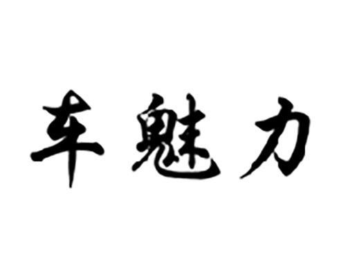 车魅力