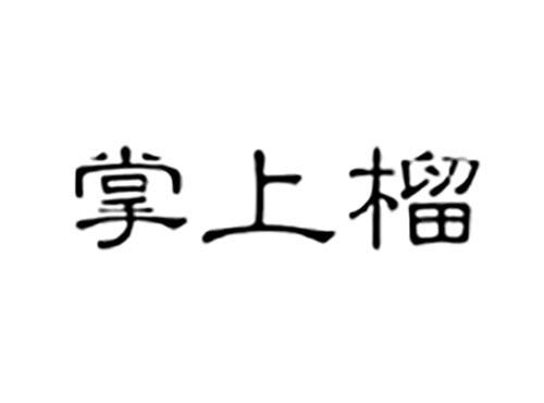 掌上榴