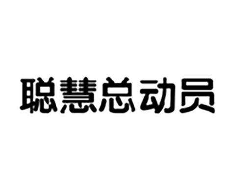 聪慧总动员