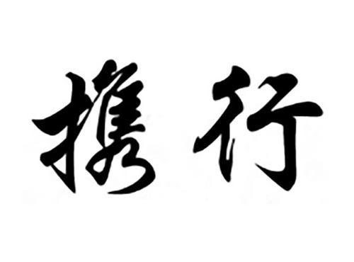 携行