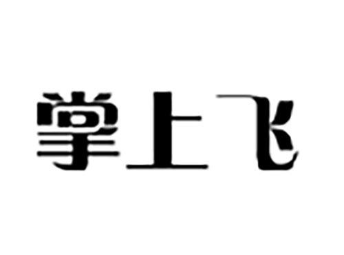 掌上飞