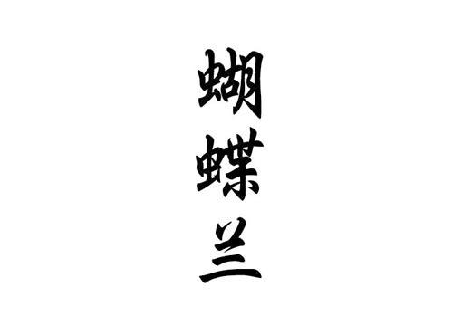 蝴蝶兰