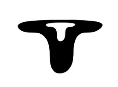 TT图形