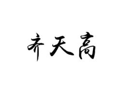齐天高