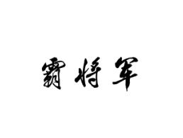 霸将军