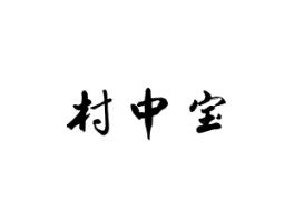 村中宝