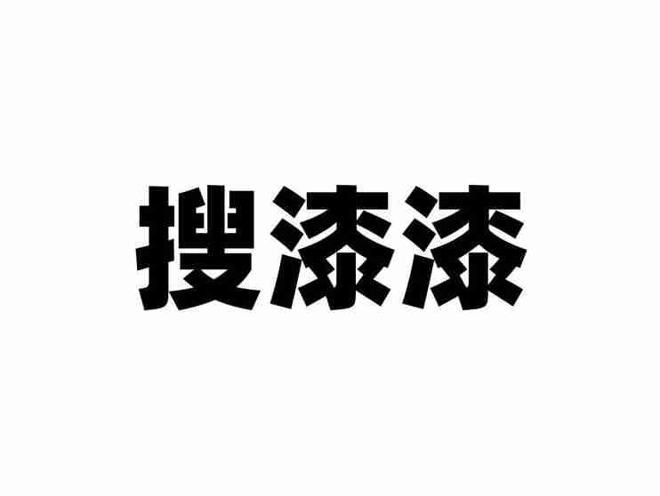 搜漆漆