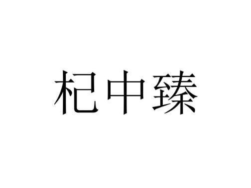 杞中臻