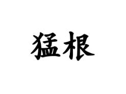 猛根