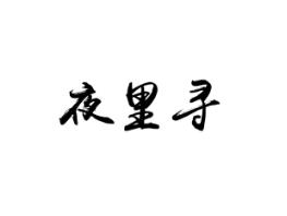 夜里寻