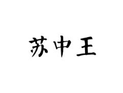 苏中王
