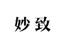 妙致