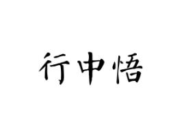 行中悟