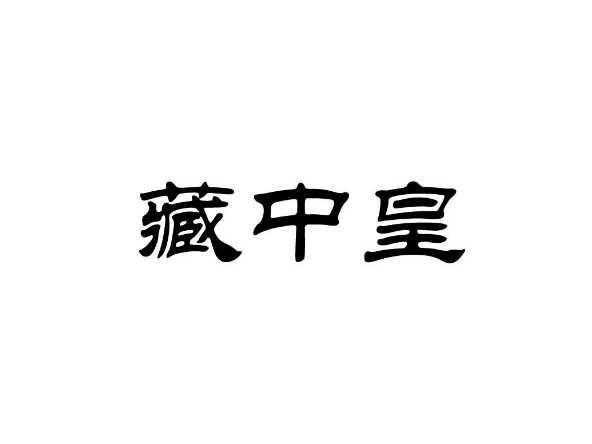 藏中皇