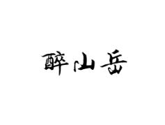 醉山岳