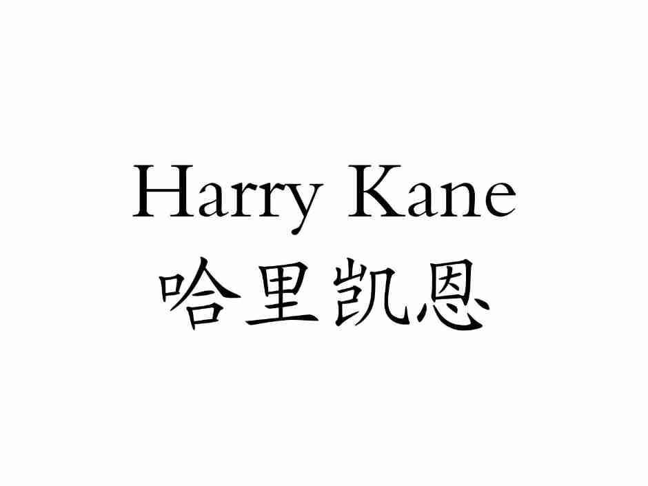 哈里凯恩   HARRY KANE