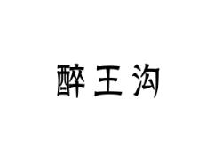 醉王沟