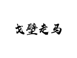 戈壁走马