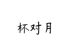 杯对月