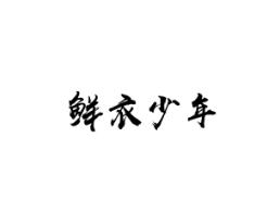 鲜衣少年
