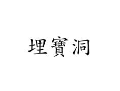 埋宝洞