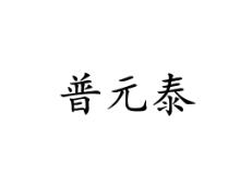 普元泰