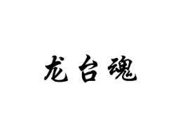 龙台魂