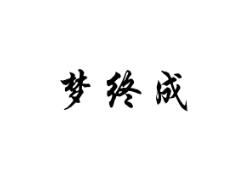 梦终成