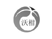 沃柑