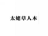 太姥草人木