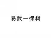 易武一棵树