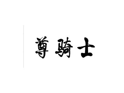 尊骑士