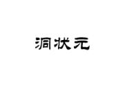 洞状元