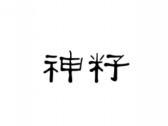 神籽