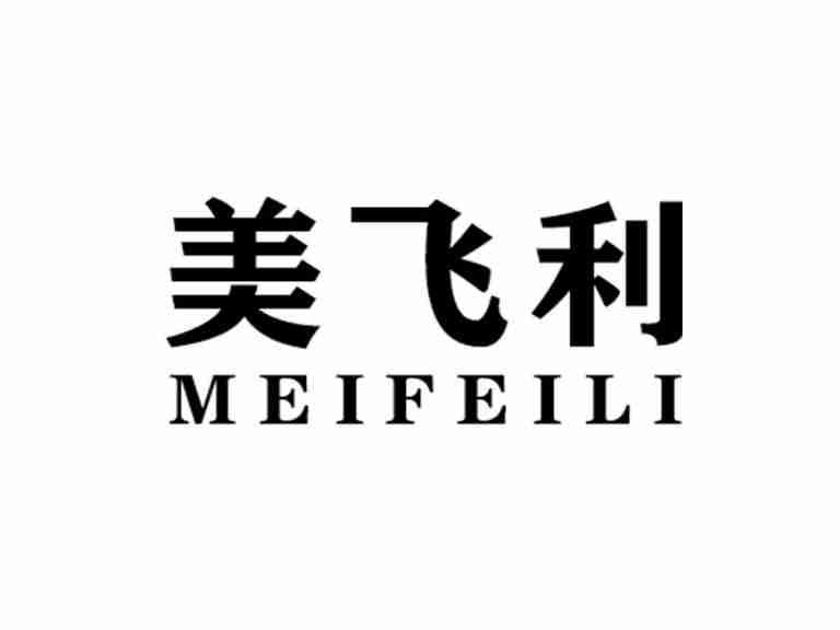 美飞利MEIFEILI