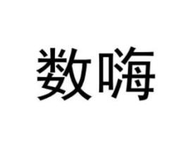 数嗨
