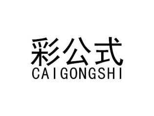 彩公式CAIGONGSHI